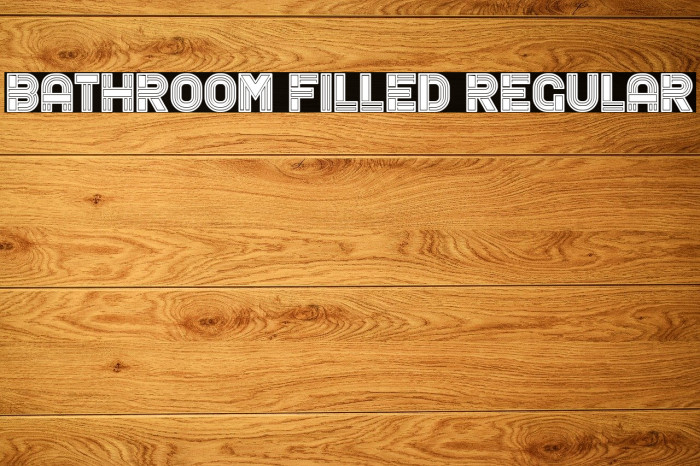 Bathroom Filled Regular Font examples