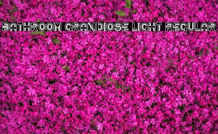 Bathroom Grandiose Light Regular Font examples