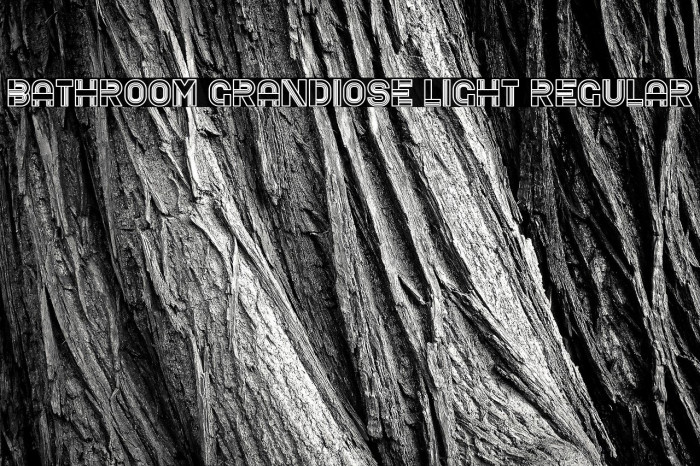 Bathroom Grandiose Light Regular Font examples
