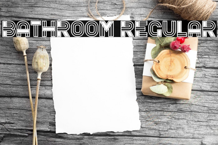 Bathroom Regular Font examples