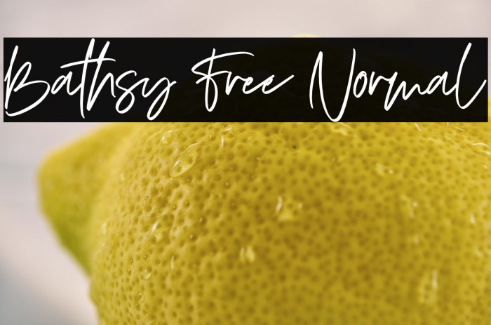 Bathsy Free Normal Example 1