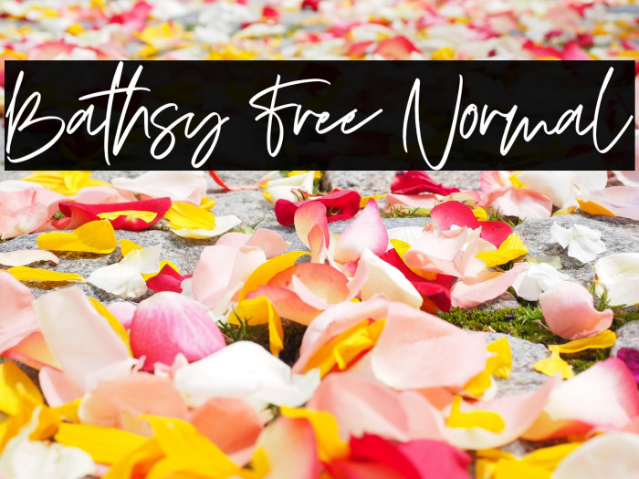 Bathsy Free Normal Example 2
