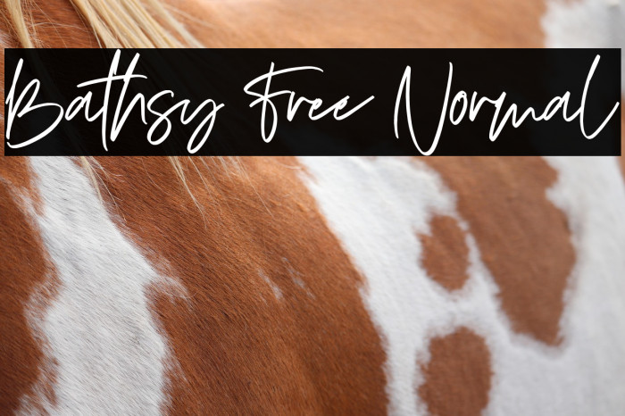 Bathsy Free Normal Example 3