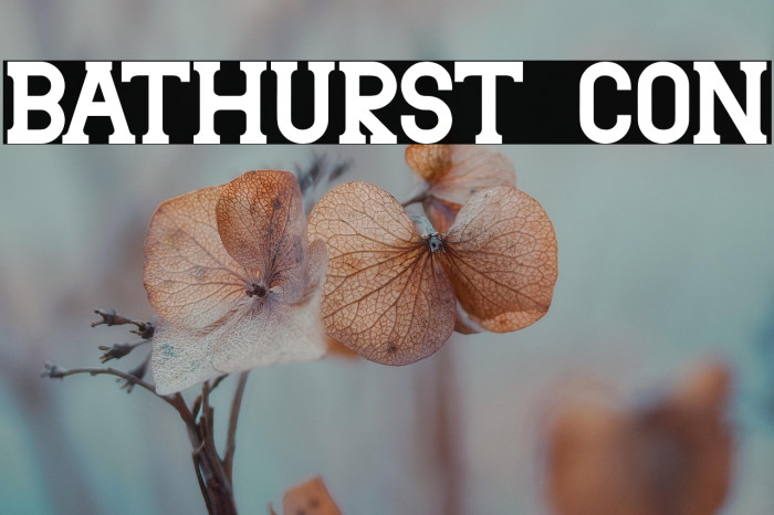 Bathurst con Example 1