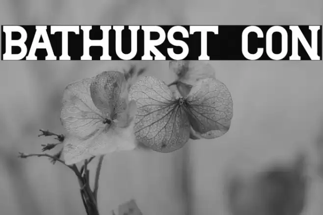 Bathurst con Font examples