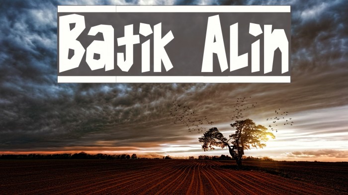 Batik Alin Example 1