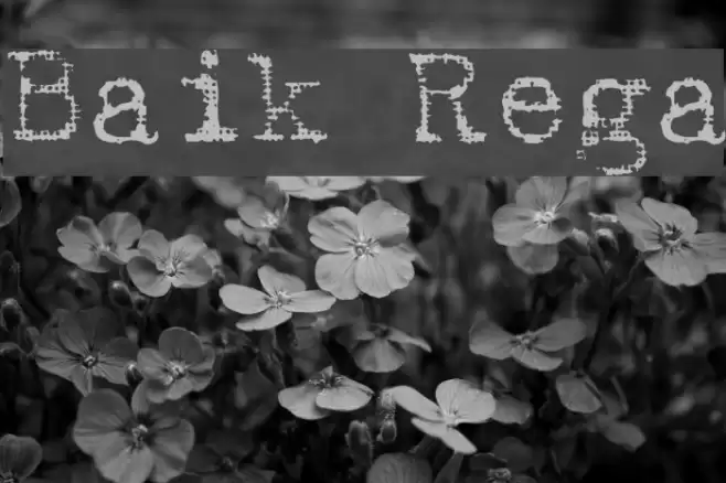 Batik Regular Font examples