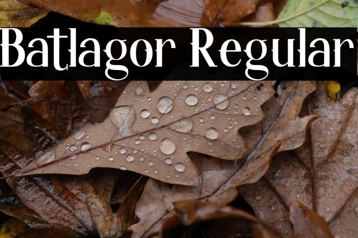 Batlagor Regular Example 1