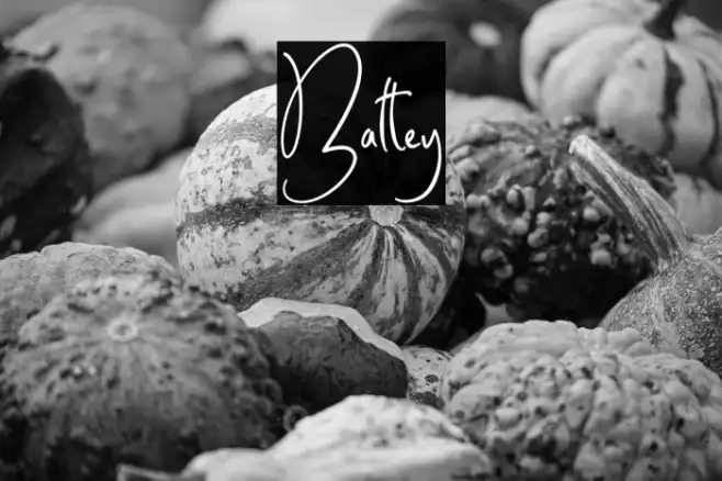 Batley Example 3
