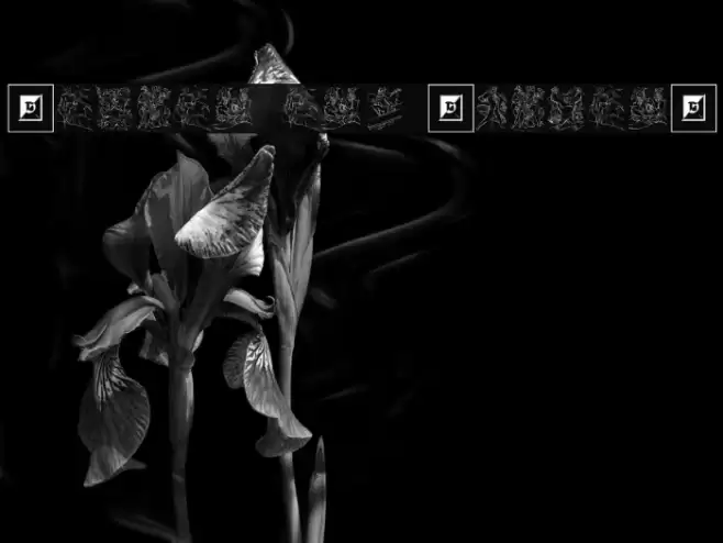 Batman and Company Font examples