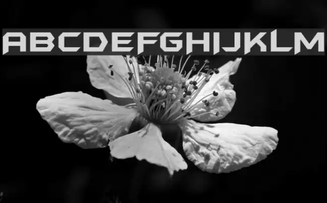 BatmanForeverAlternate Font examples