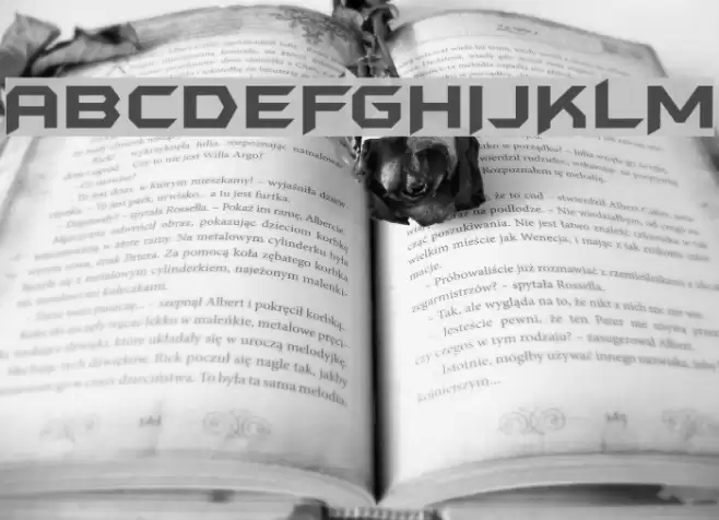 BatmanForeverAlternate Font examples