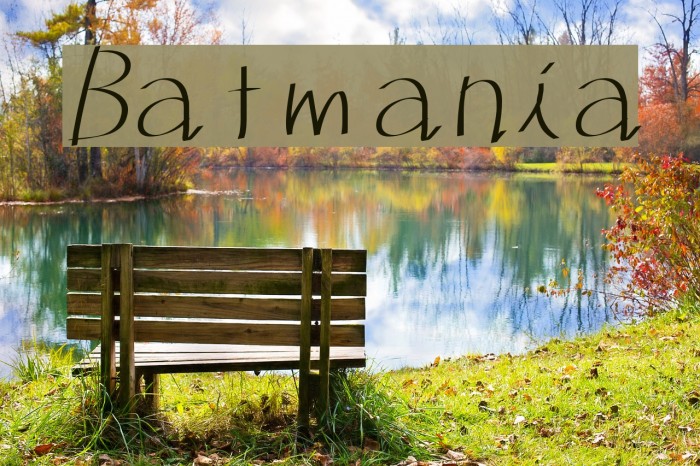 Batmania Example 2