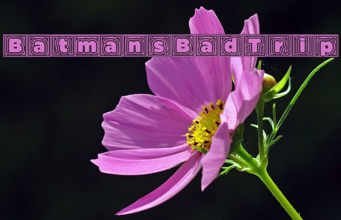 BatmansBadTrip Fonte examples