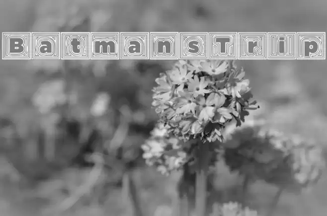 BatmansTrip Font examples