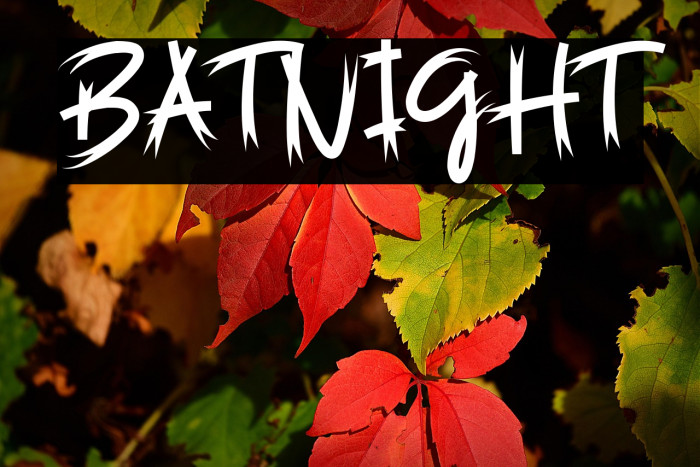 Batnight Example 1