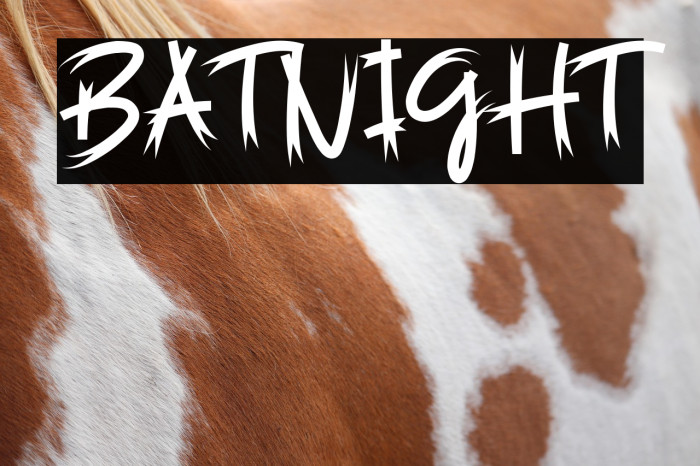 Batnight Example 2