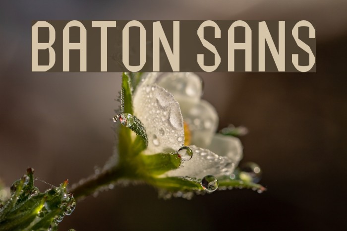 Baton Sans Font examples