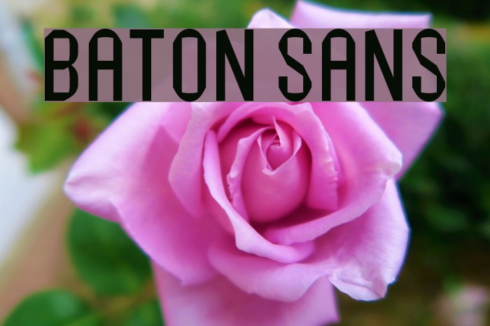 Baton Sans Font examples