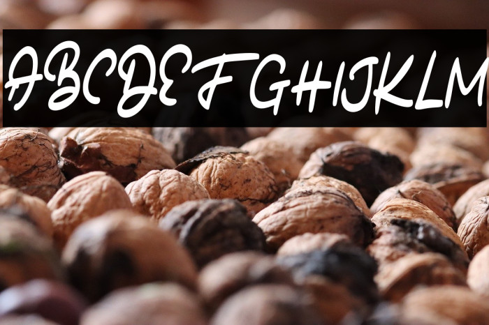 BatoneFREE Example 1