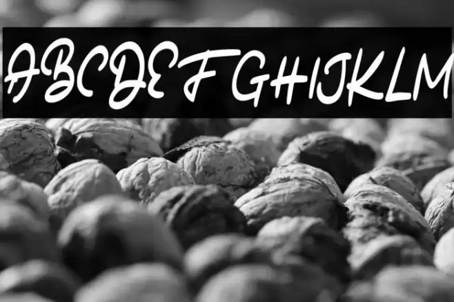 BatoneFREE Font examples