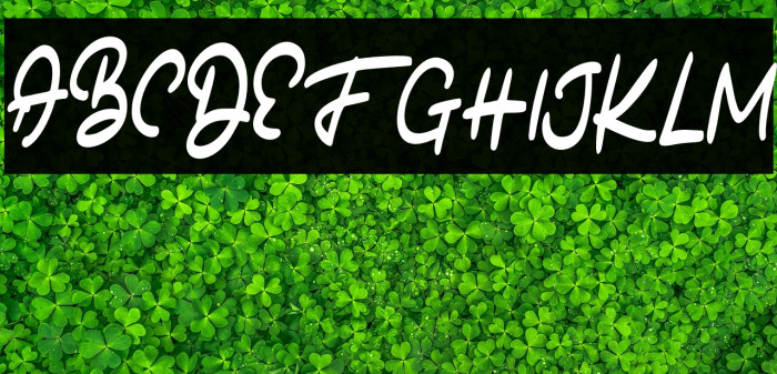 BatoneFREE Example 2