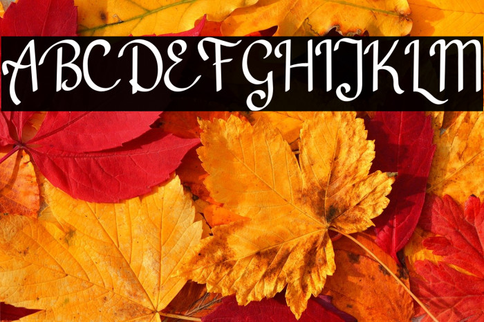 Batousai Demo Example 1