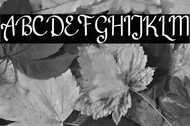 Batousai Demo Font examples