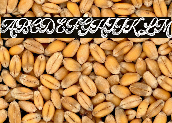 Batrider-Textured Example 2