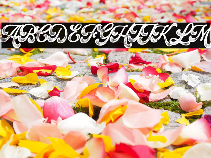 Batrider-Textured Example 3