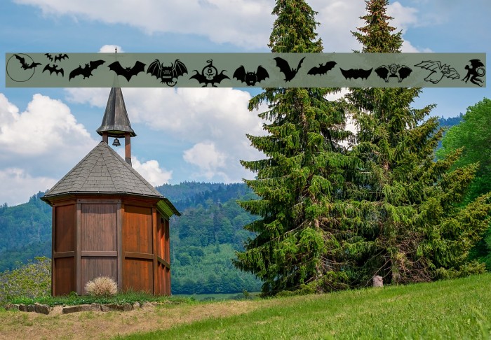 Bats-Symbols Font examples