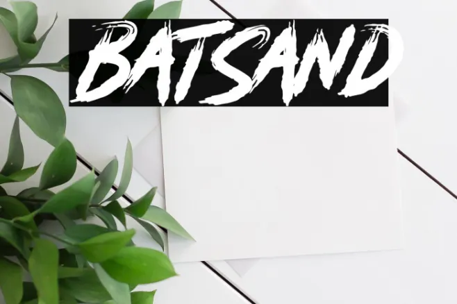 Batsand Example 1