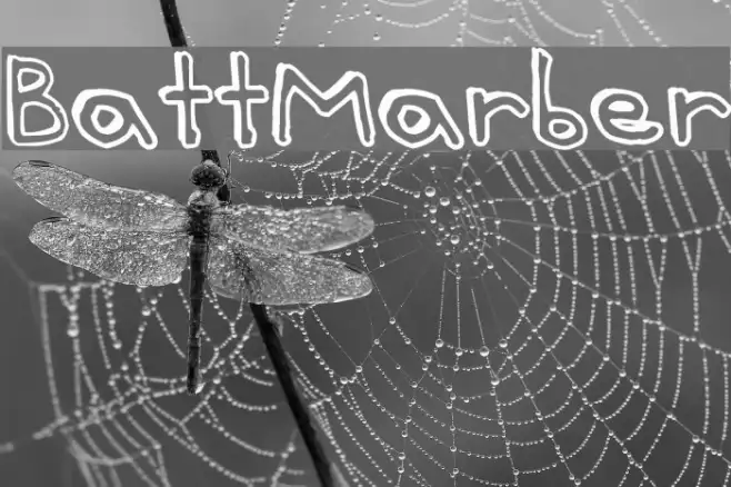 Batt Marber Example 1