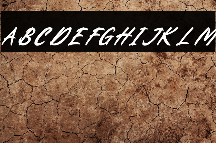 Battalion Commander Italic Example 1