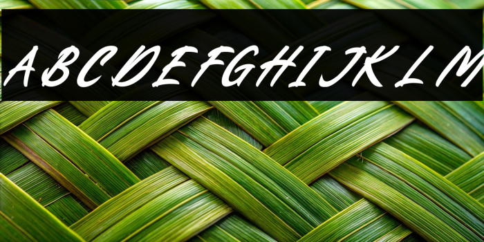 Battalion Commander Italic Example 2