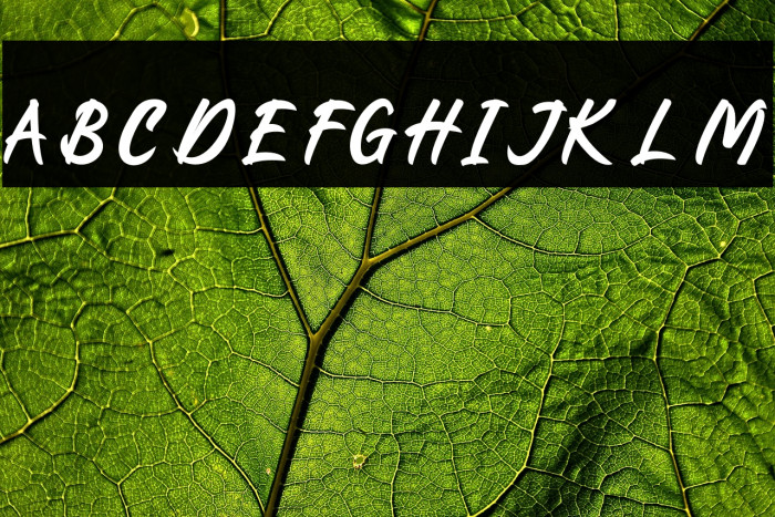 Battalion Commander Example 1