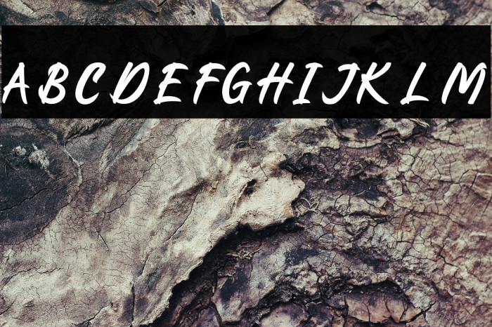 Battalion Commander Example 2