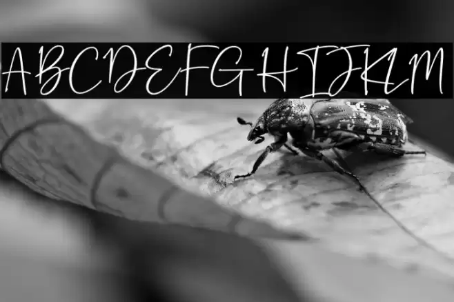 Battalion Font examples