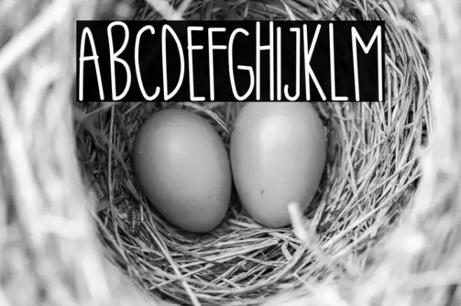 Battani Font examples