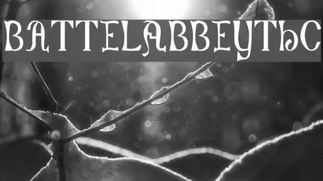 Battel-Abbey--8th-c- Fuentes examples