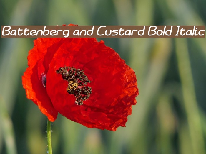 Battenberg and Custard Bold Italic Font examples