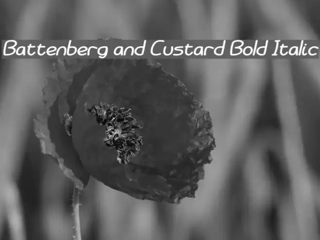 Battenberg and Custard Bold Italic examples