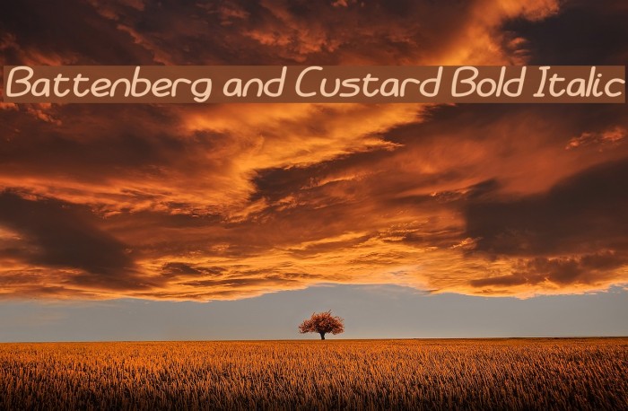 Battenberg and Custard Bold Italic Font examples