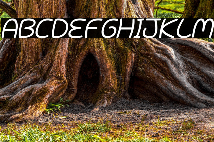 Battenberg and Custard Italic Font examples