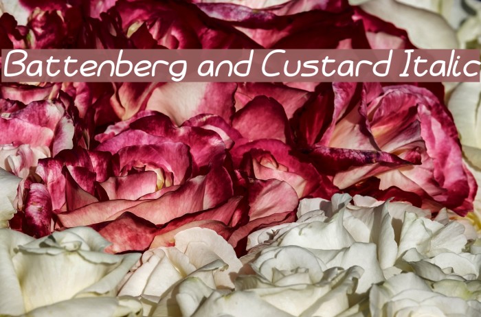 Battenberg and Custard Italic Fuentes examples