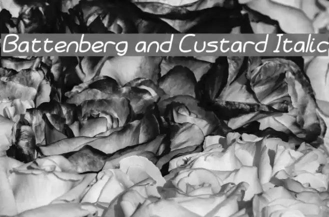 Battenberg and Custard Italic Font examples