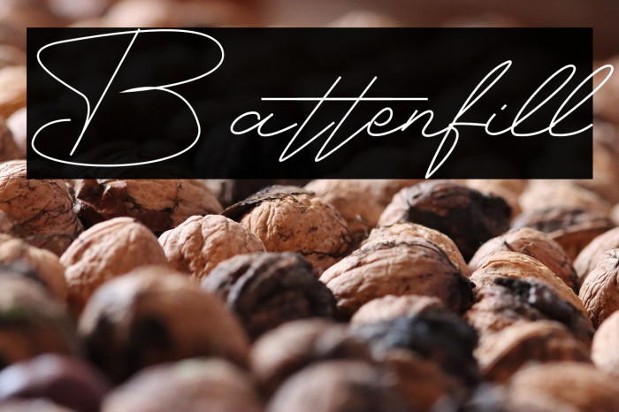 Battenfill Example 2