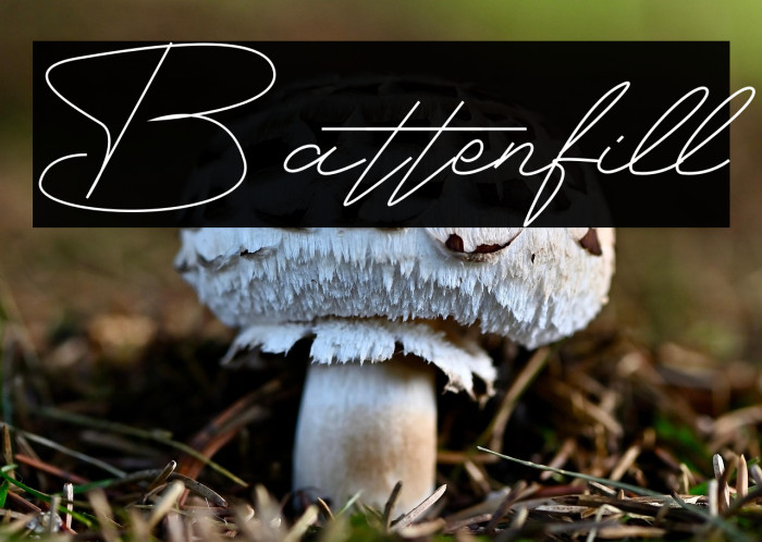 Battenfill Example 3