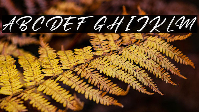 Batteny Personal Use Example 3