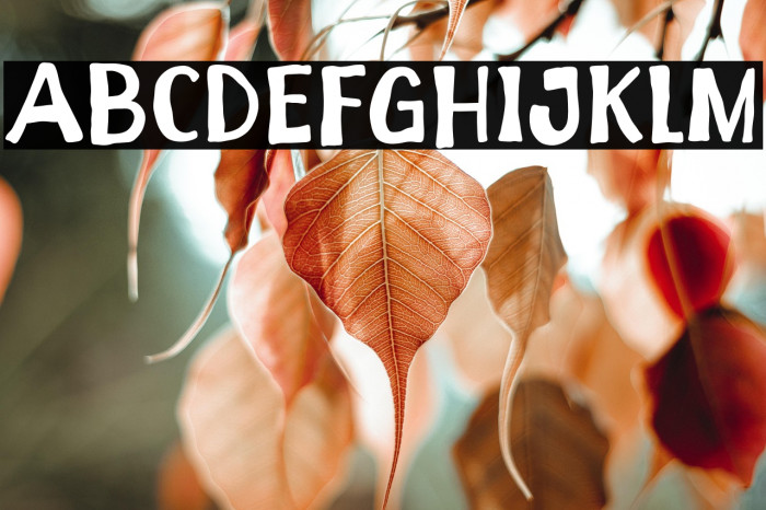 Batter Spooky Example 1